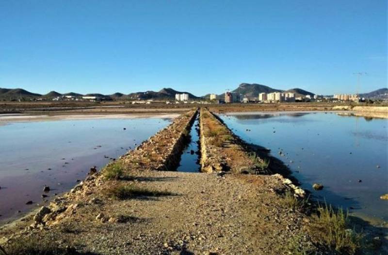 Mar Menor Salinas de Marchamalo declared an Asset of Cultural Interest