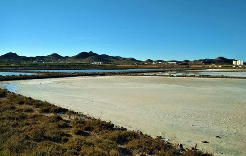 Mar Menor Salinas de Marchamalo declared an Asset of Cultural Interest