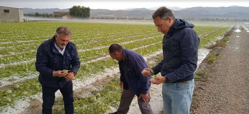Flash flooding and destructive hailstorms continue in Murcia