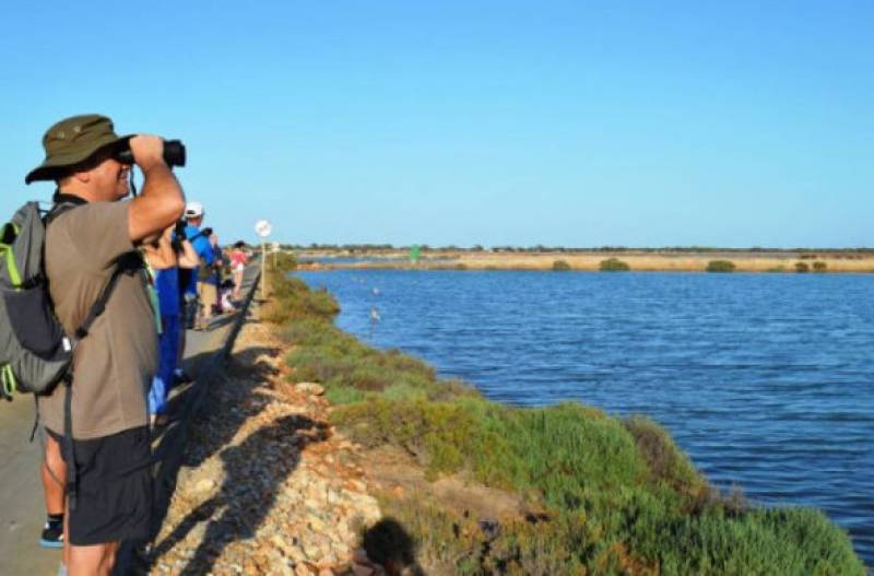 June 18 Free bird-spotting walk in the salt flats of San Pedro del Pinatar