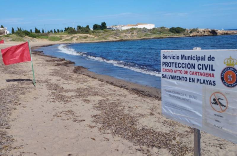 Swimming banned at Cala Reona beach following the discovery of faecal matter in the water