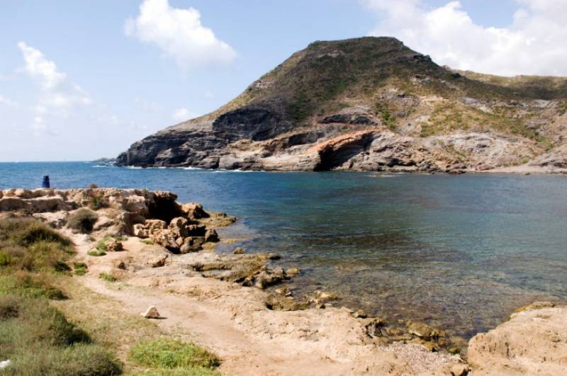 Cala Reona beach reopens as water quality improves