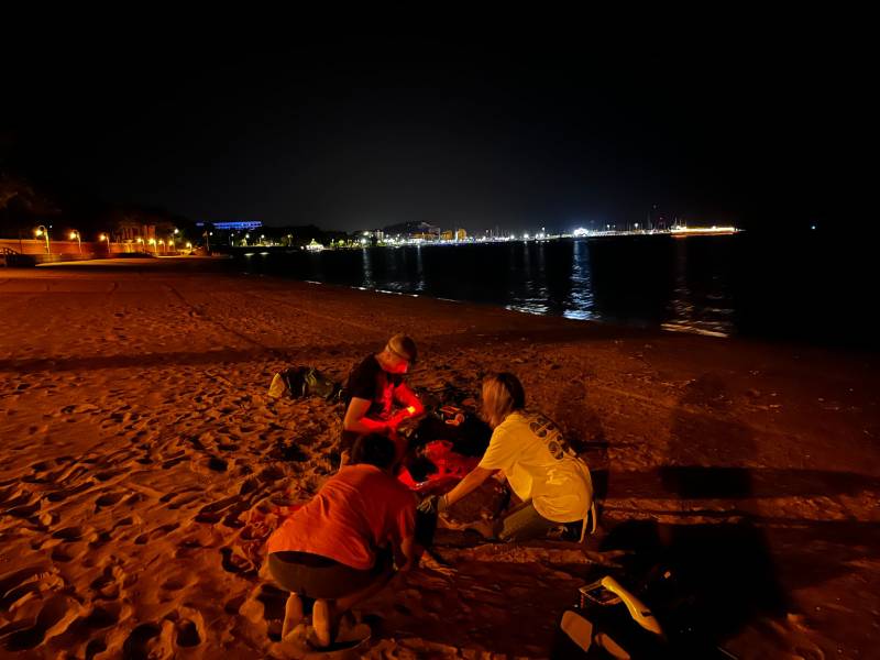 Endangered sea turtle lays 80 eggs on Denia beach in the first recorded Costa Blanca nesting of 2023