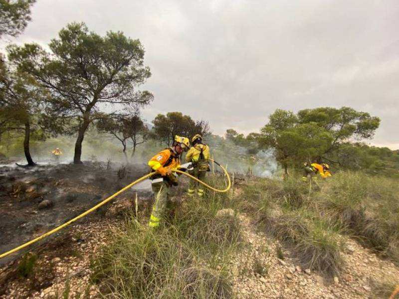 Lightning strike sparks forest fires in northern Murcia