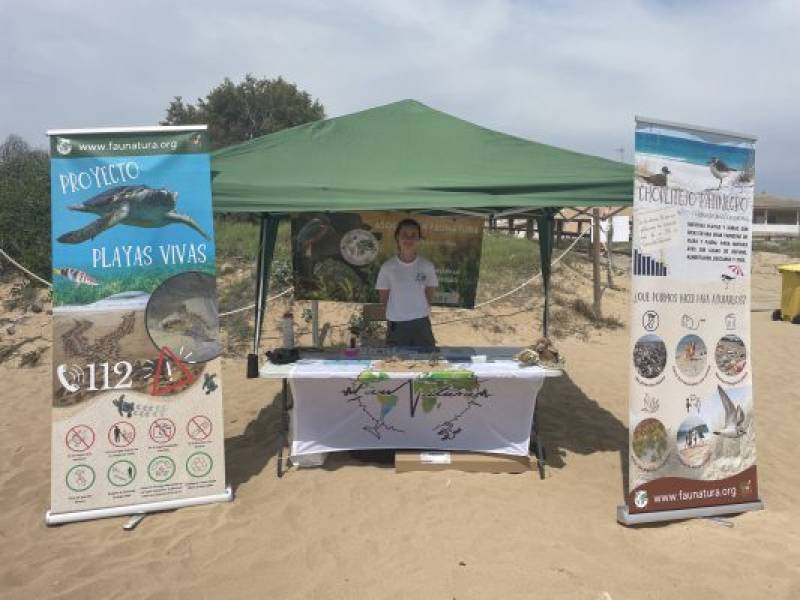 Living Beaches Project launched to protect sea turtles and other enangered species on Alicante coast