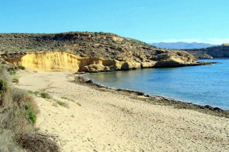 What’s on in Aguilas July 2023