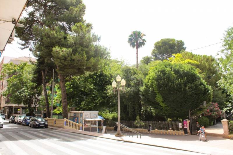 Natural methods used to remove invasive bird species from Jumilla parks