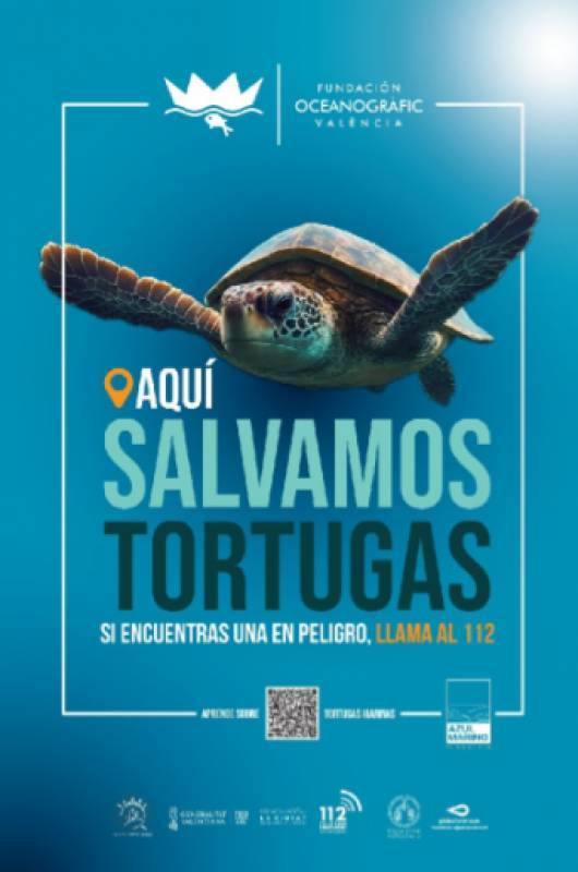 Lorca launches campaign to protect nesting sea turtles