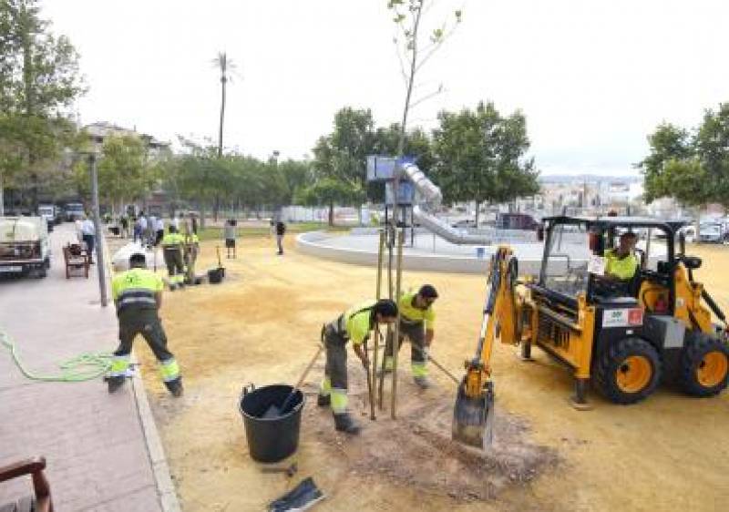 Murcia doubles its green footprint with 50,000 newly planted trees