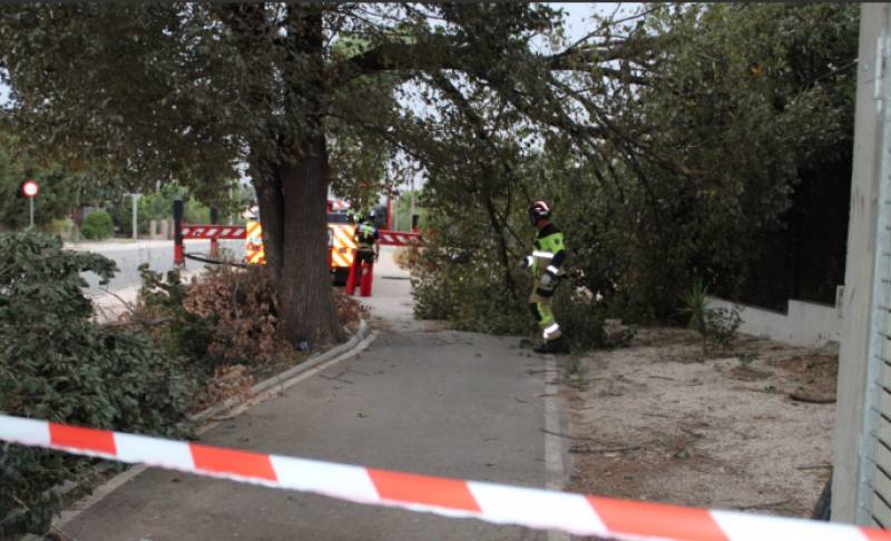 Six tornadoes leave trail of destruction in Lorca