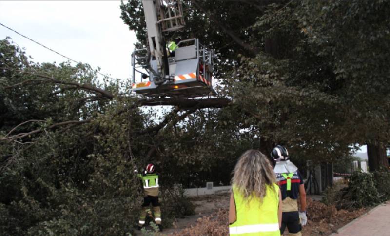 Six tornadoes leave trail of destruction in Lorca