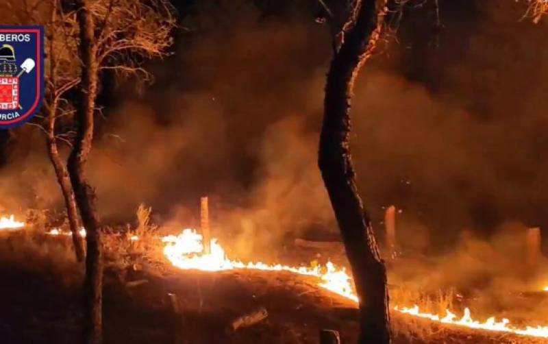 WATCH: Wildfire tears through El Valle regional park