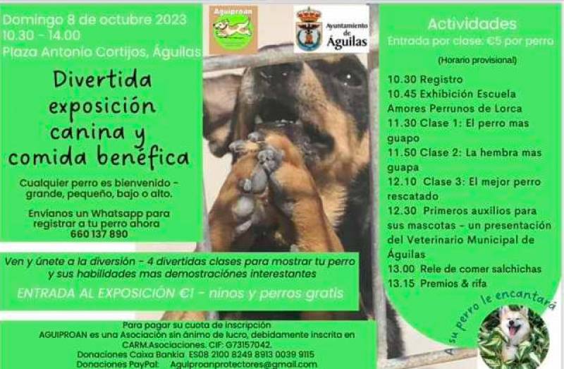 October 8 Dog show in Aguilas