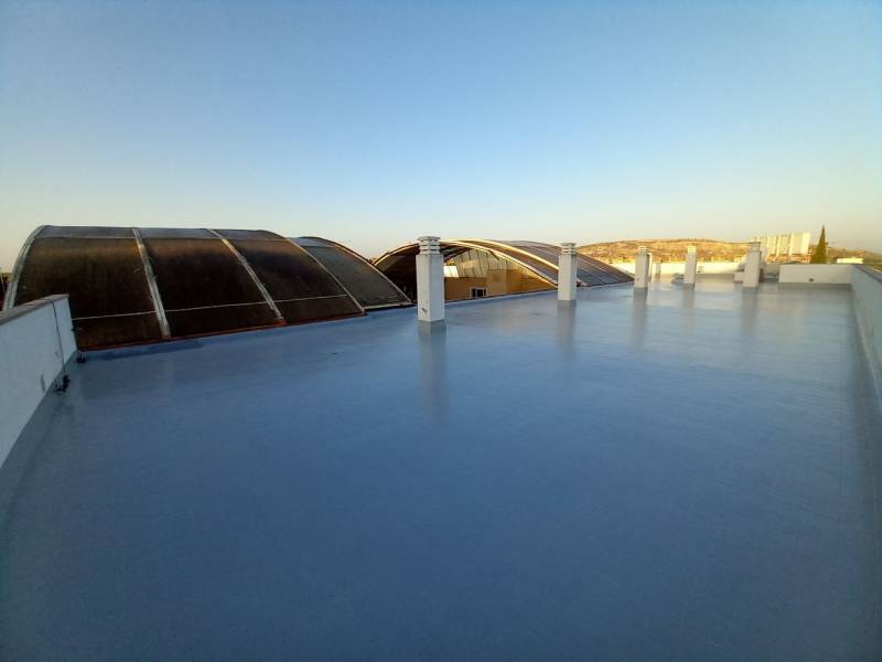 Algorfa Hotel roof waterproofed appears on A New Life in the Sun