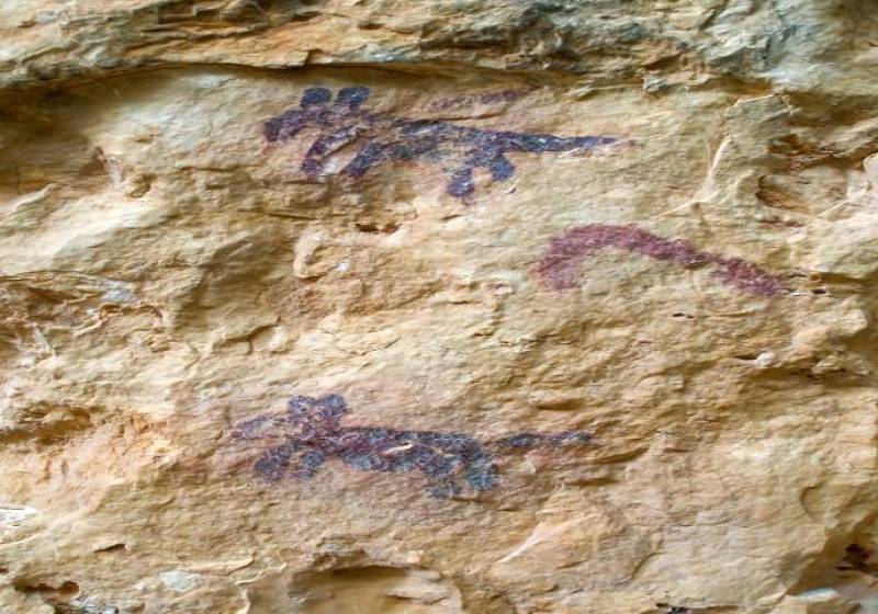 October 7 Free guided visit to the prehistoric rock art of Abrigos del Pozo in Calasparra