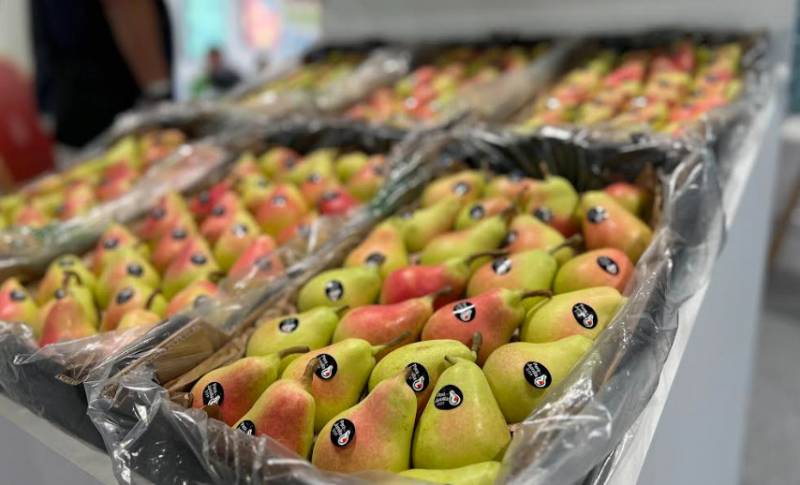 Jumilla promotes highly prized local pears at international fruit fair in Madrid
