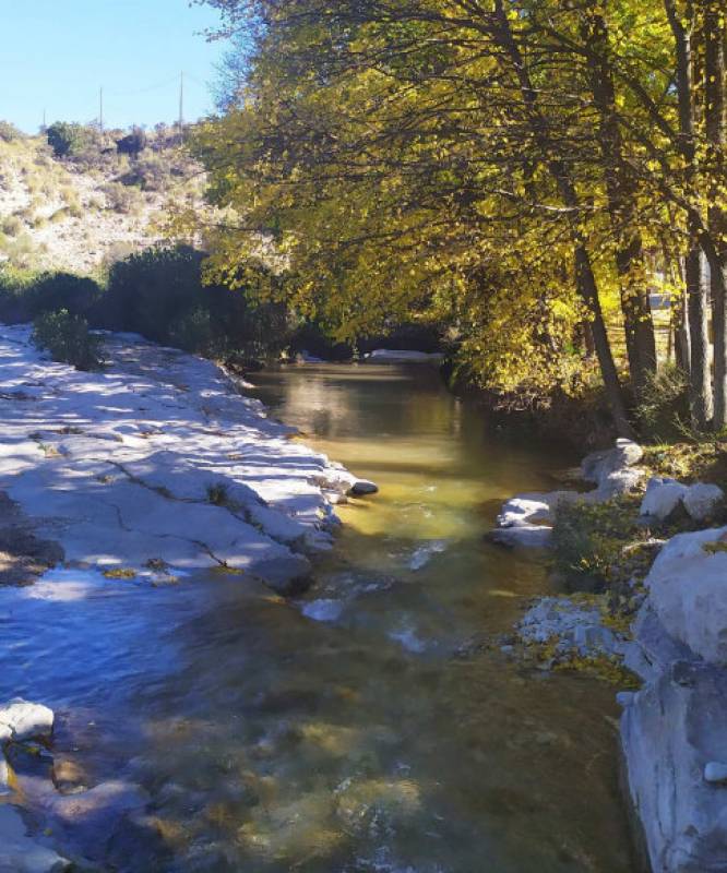 November 11 Free guided walking tour of the Cañaverosa beauty spot in Calasparra