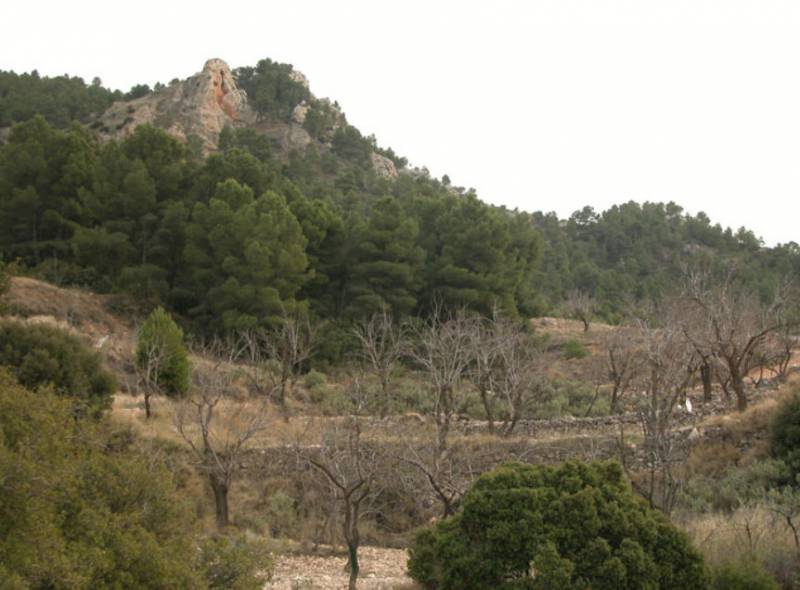 November 26 Free guided walk in the regional park of Sierra de la Pila