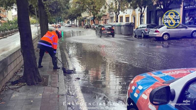 In videos: Hundreds of trees felled by savage winds in Spain