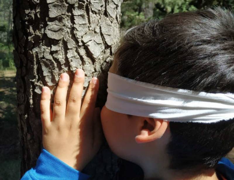 December 3 Free guided walk for children in Sierra Espuña