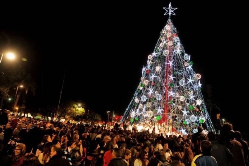 Giant Christmas tree in Murcia city will be put up in another 2 weeks