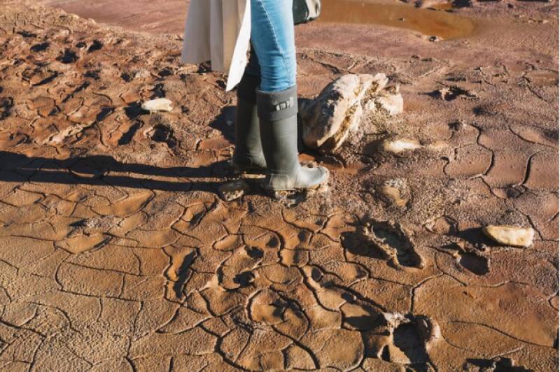 January rains barely top up desperately dry Andalusia reservoirs