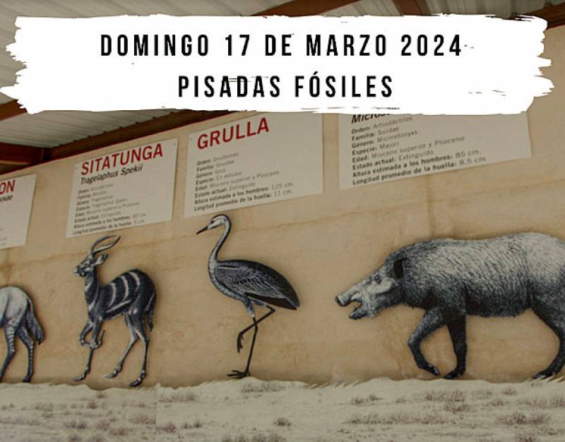 March 17 Guided walking tour of the fossil footprints of Hoya de la Sima, Jumilla