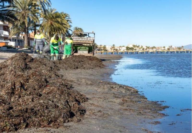 Los Nietos and Mar Menor beaches undergo major clean-up ahead of summer