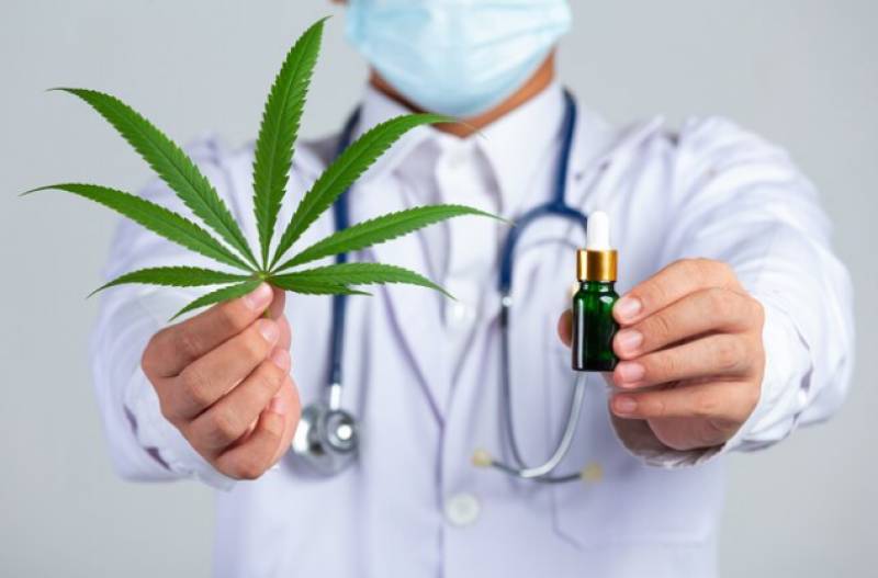 Spain to approve more widespread use of medicinal cannabis