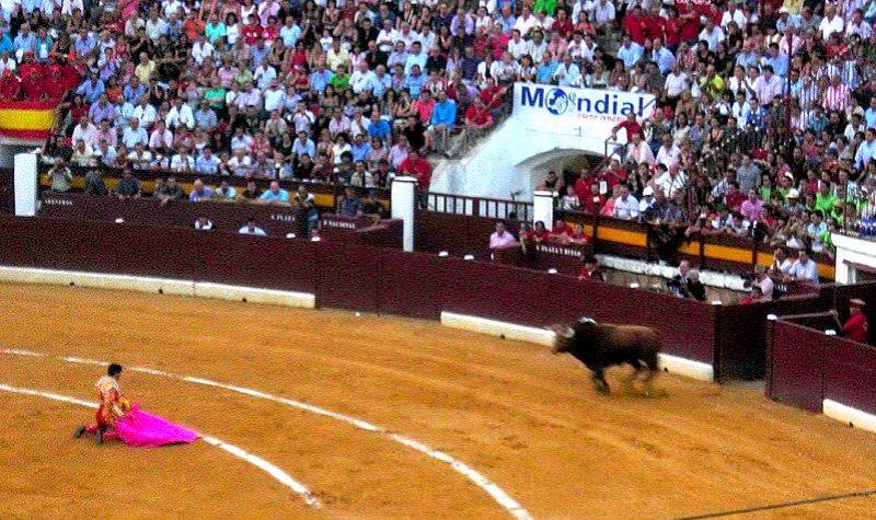 Bye bye bullfights: Transforming Murcia bullring into a library and social-cultural hub