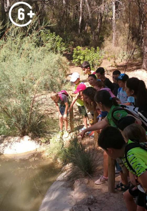 April 28 Amphibian workshop at the Regional Park of El Valle and Carrascoy just outside Murcia