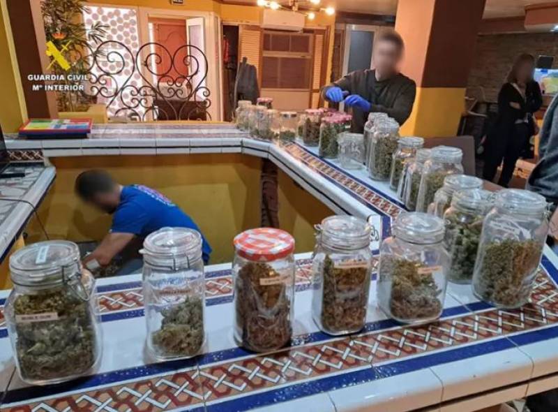 Drug-dealing British expat arrested in Costa Blanca cannabis club