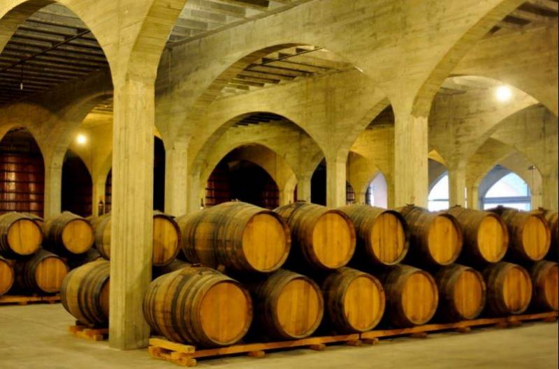 Vines, wines and travel: The very best wine tourism in the Region of Murcia