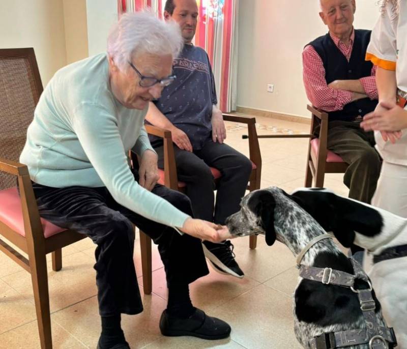 Canine therapy is a monthly enjoyment for elderly residents at Caser Residencial Santo Angel