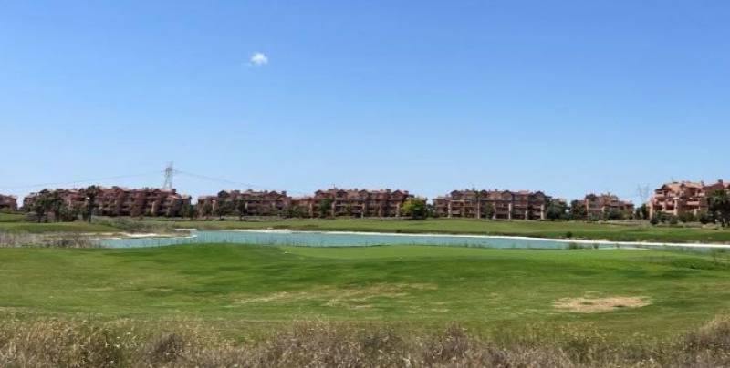 More mosquito spraying to come on Mar Menor Golf Resort on June 25