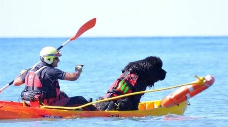Canine lifeguards hit the beaches of the Costa del Sol
