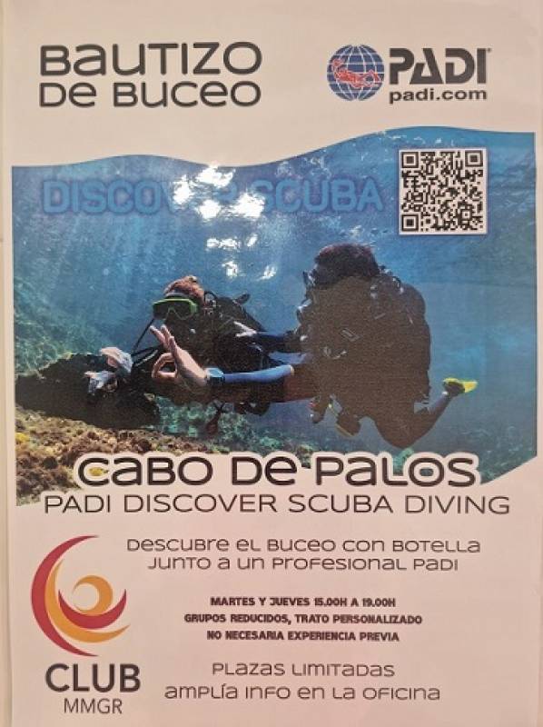 July 2-15 Club MMGR goes scuba diving