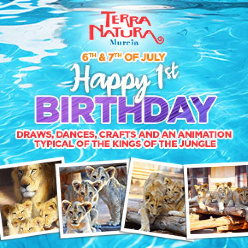 July 6 and 7 Terra Natura celebrates 1st birthday for baby lions