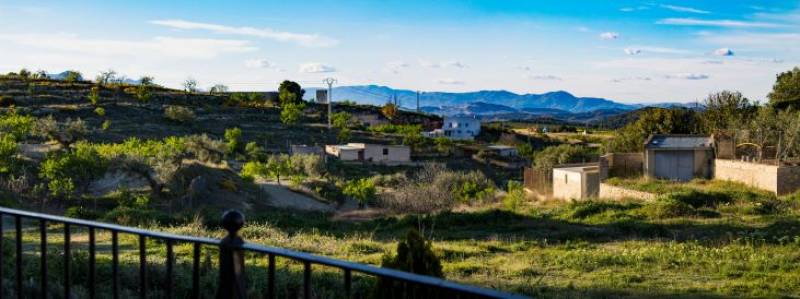 Why Murcia just might be a favourite student destination