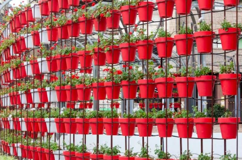 Spain flowers delivery: The perfect surprise for friends on holiday in Murcia