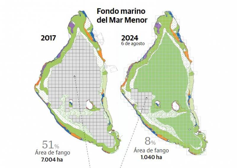 Mar Menor shows signs of ecological recovery