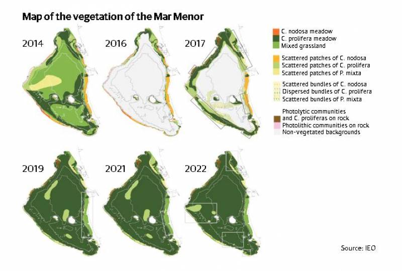 Conflicting reports stir debate about the recovery of the Mar Menor