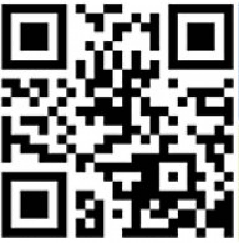 The Línea Verde service of the Town Hall of San Javier