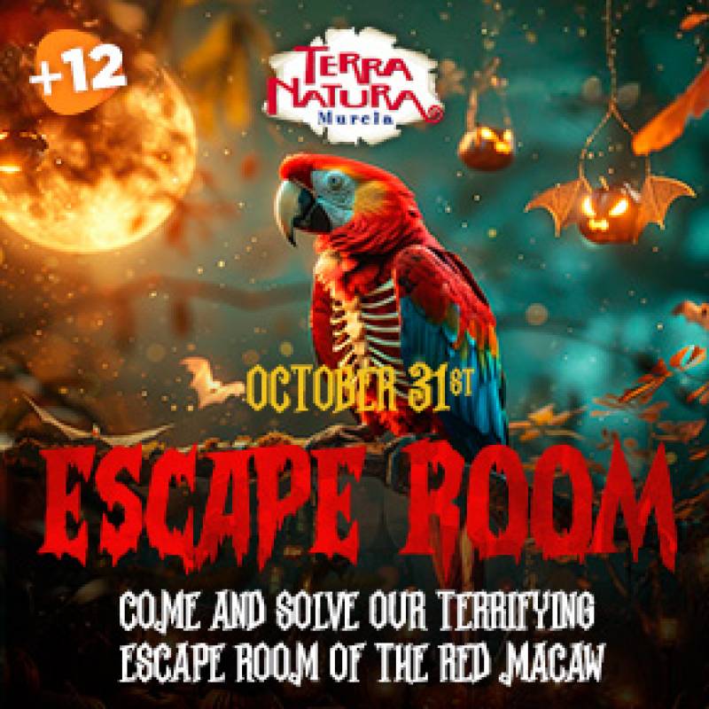 October 31 Halloween Escape Room at Terra Natura Murcia 2024