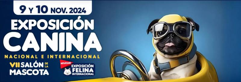 NOVEMBER 9 AND 10 DOG SHOW AT THE AT THE IFEPA EXHIBITION CENTRE IN TORRE PACHECO