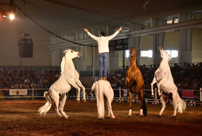 APRIL 3 TO 6 EQUIMUR HORSE SHOW IN TORRE PACHECO