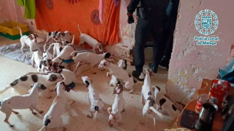 Spanish News Today Editors Roundup Weekly Bulletin May 2