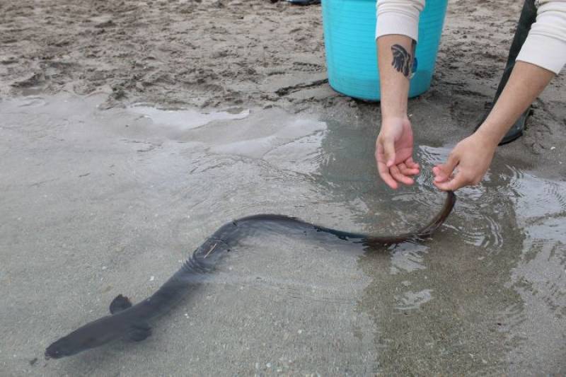 Spanish News Today Editors Roundup Weekly Bulletin May 2