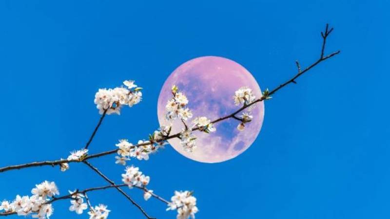 Spanish News Today Editors Roundup Weekly Bulletin May 2