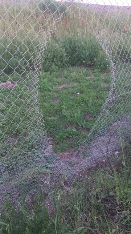 Spanish News Today Editors Roundup Weekly Bulletin May 9